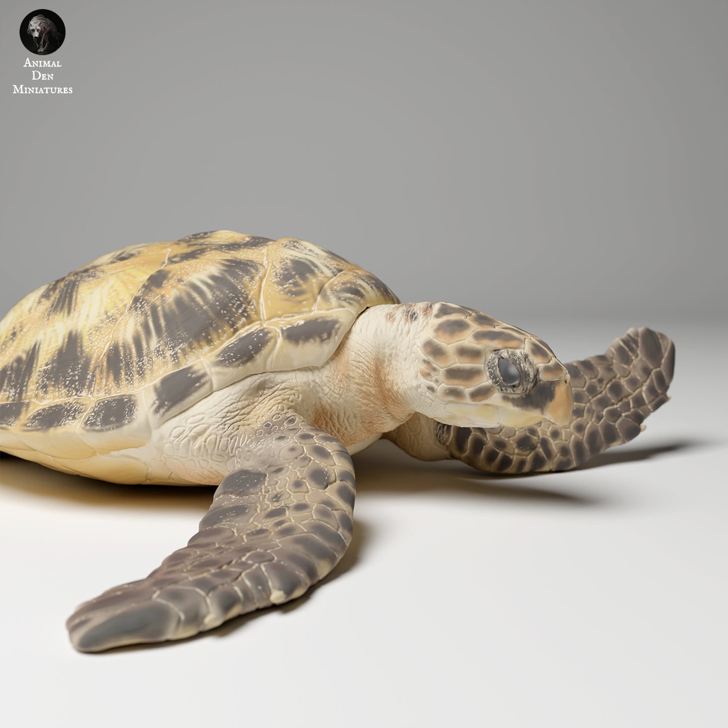 Hawksbill Sea Turtle (Eretmochelys imbricata) - Animal Den Miniatures