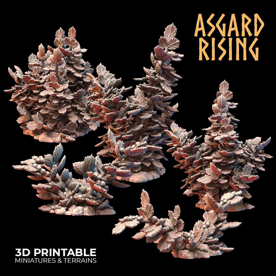 Hazel Bushes and Young Hazel Bushes - Asgard Rising