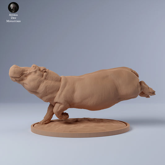 Hippo Swim - Animal Den Miniatures