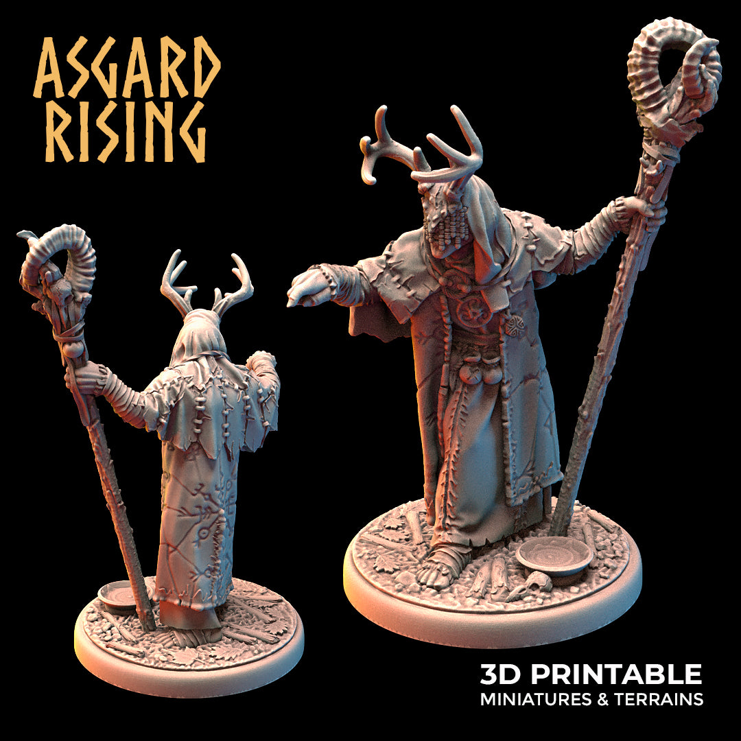 Hofgothi the Seer  - Asgard Rising