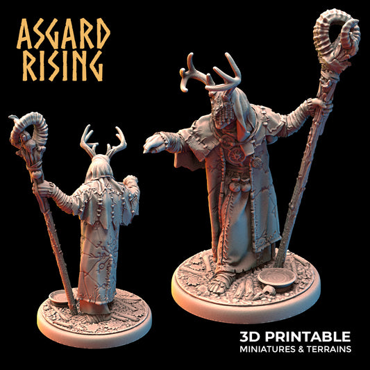 Hofgothi the Seer  - Asgard Rising