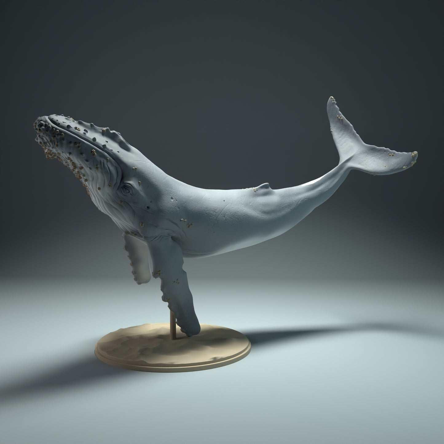 Humpback Whale - Animal Den Miniatures