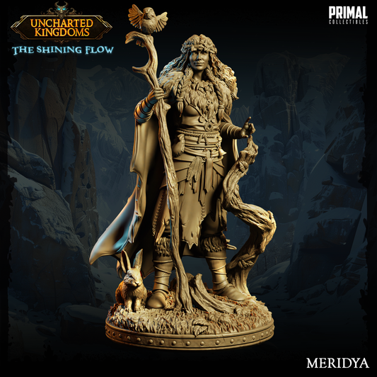 Druid - Meridya - June 2024 - Uncharted Kingdoms