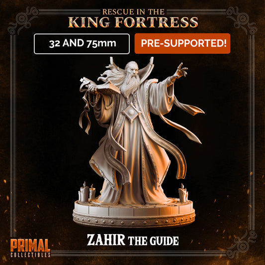 Wizard - ZAHIR THE GUIDE - April 2023 - RESCUE IN THE KING FORTRESS -  MASTERS OF DUNGEONS QUEST - Primal Collectibles