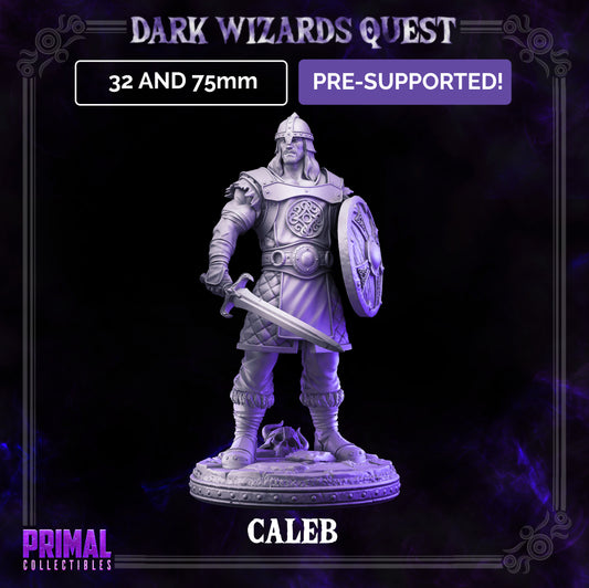 Scout/ Mercenary /Man- at- arms - Caleb - DARK WIZARDS - MASTERS OF DUNGEONS QUEST - Primal Collectibles