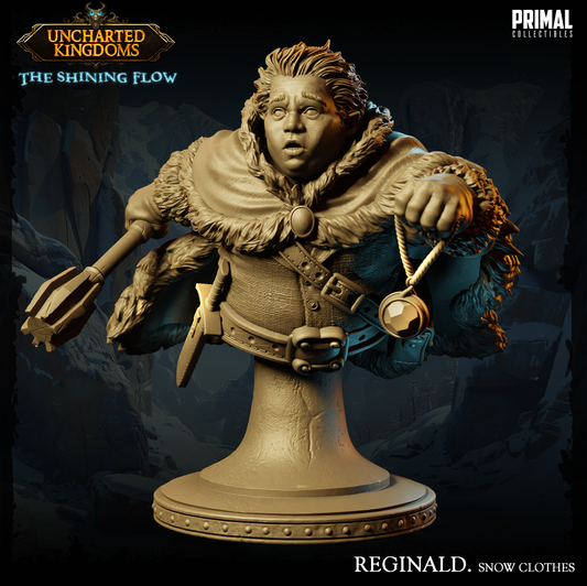 Halfling / Rogue - Reginald Vazk - Snow Clothes - Bust - June 2024 - Uncharted Kingdoms