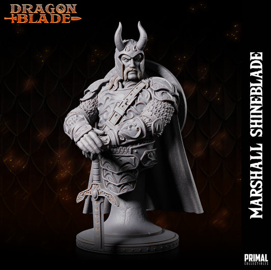 Fighter- Knight - Marshall Shineblade - bust - September 2023 - DRAGONBLADE-  MASTERS OF DUNGEONS QUEST