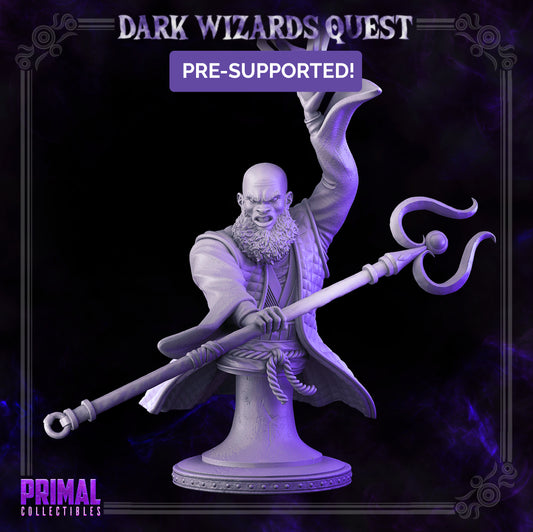 Storm Master - Rayzen Shaka - Bust - DARK WIZARDS - MASTERS OF DUNGEONS QUEST - Primal Collectibles