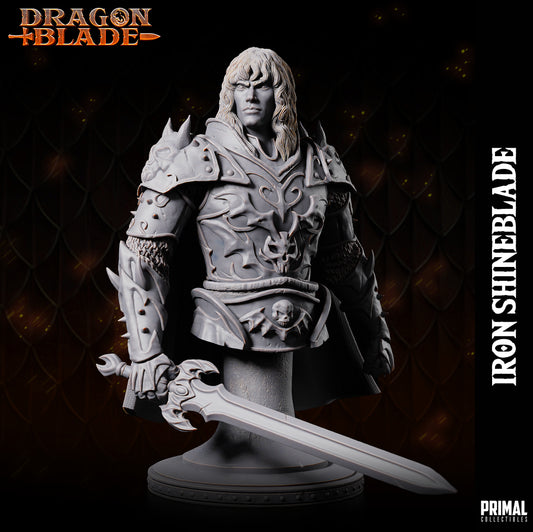 Fighter  - Iron shineblade - bust - December 2023 - DRAGONBLADE-  MASTERS OF DUNGEONS QUEST