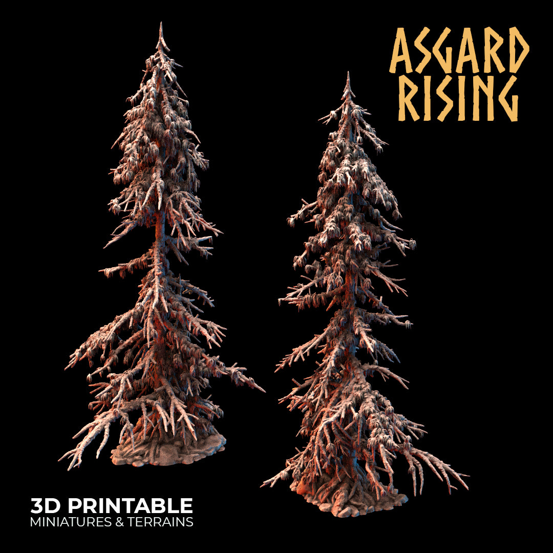 Coniferous Forest - Infected Spruce Trees - Asgard Rising