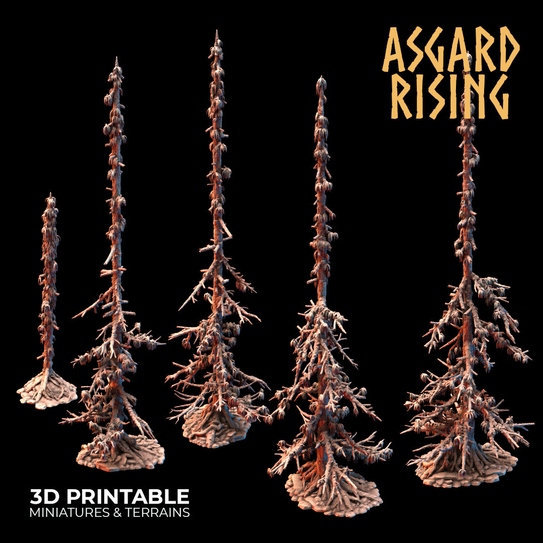 Coniferous Forest - Infected Spruce Trees - Asgard Rising