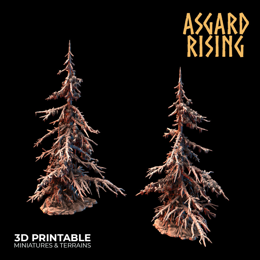 Coniferous Forest - Infected Spruce Trees - Asgard Rising