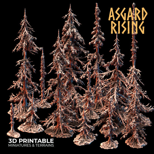 Coniferous Forest - Infected Spruce Trees - Asgard Rising