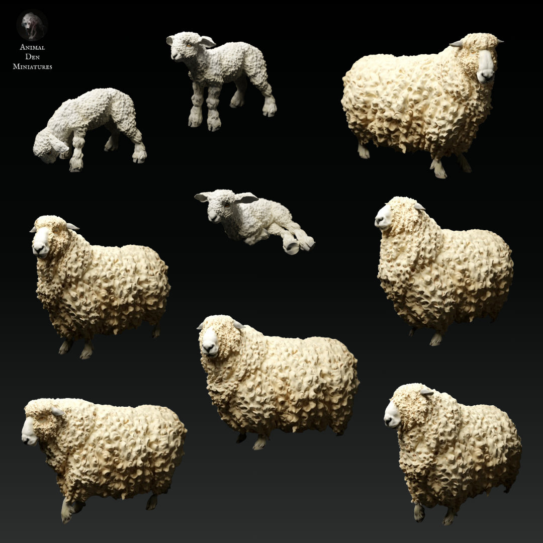 Devon and Cornwall Longwool Sheeps and Rams Bundle Set - Animal Den Miniatures