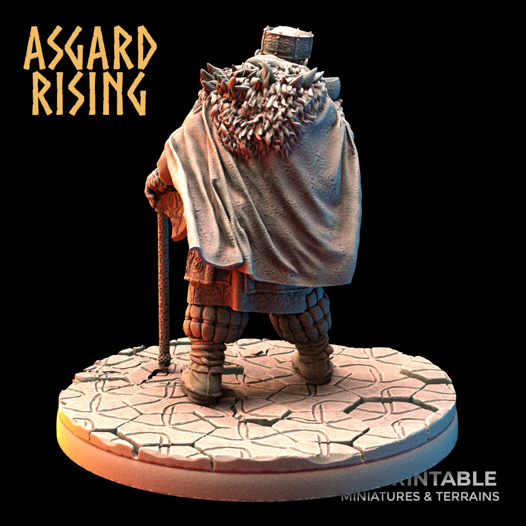 VIKING: King Eysteinn the Indomitable - Asgard Rising