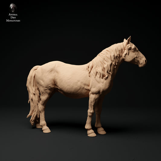 Konik Horse - Animal Den Miniatures