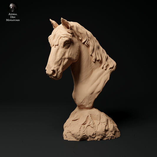 Konik Horse Bust - Animal Den Miniatures