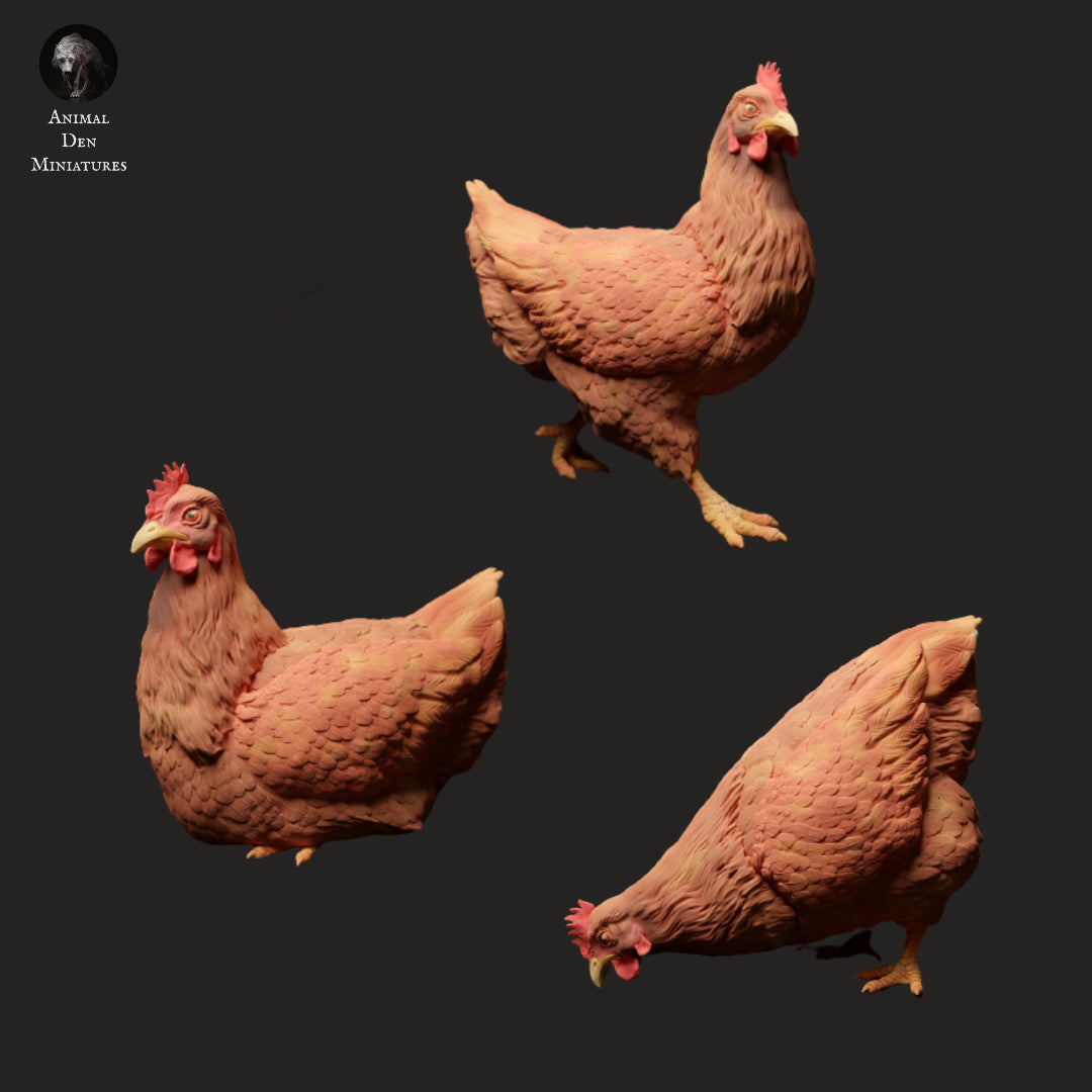 Chickens - Animal Den Miniatures