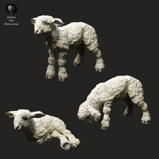 Devon and Cornwall Longwool Lambs - Animal Den Miniatures