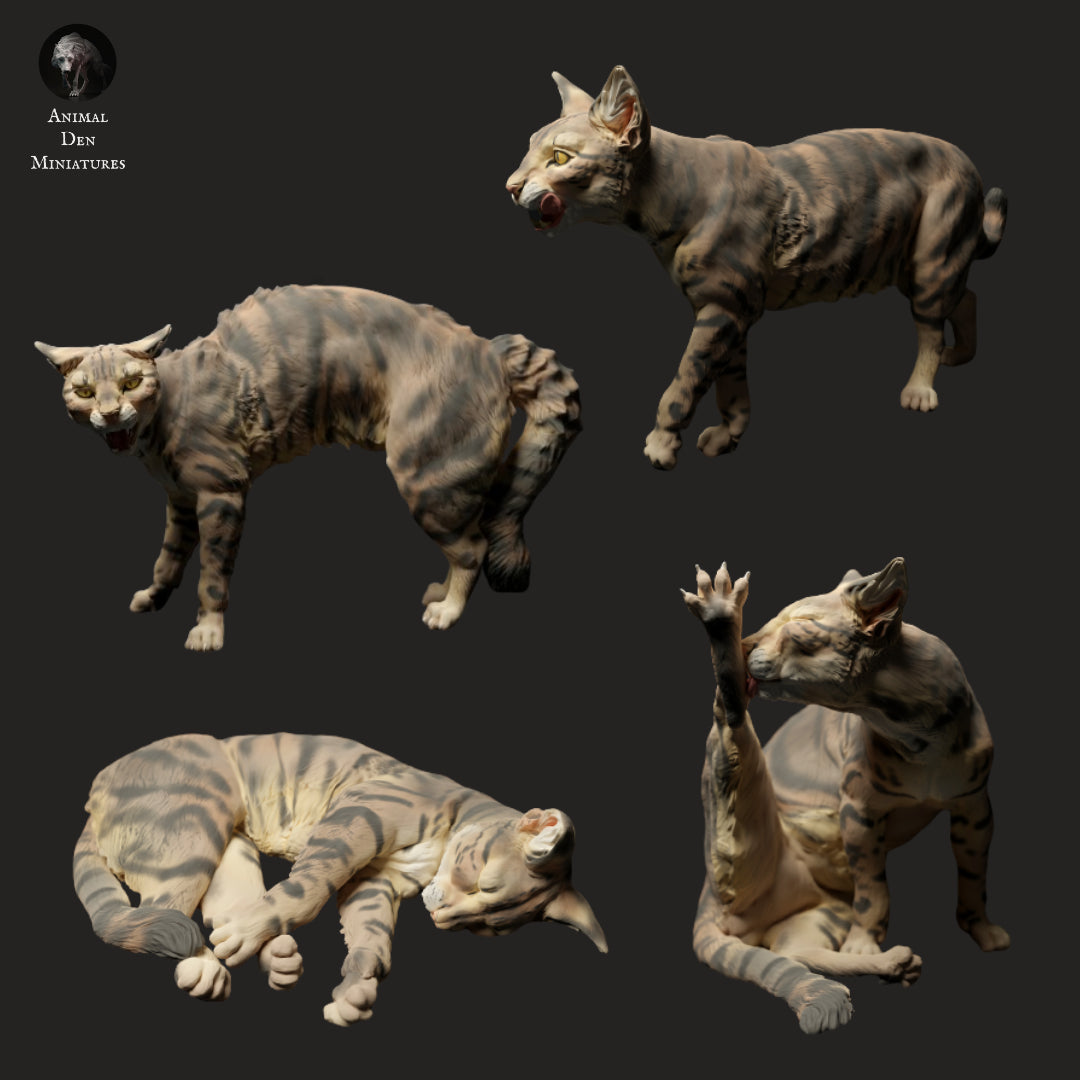 Domestic Cat Pack - Animal Den Miniatures