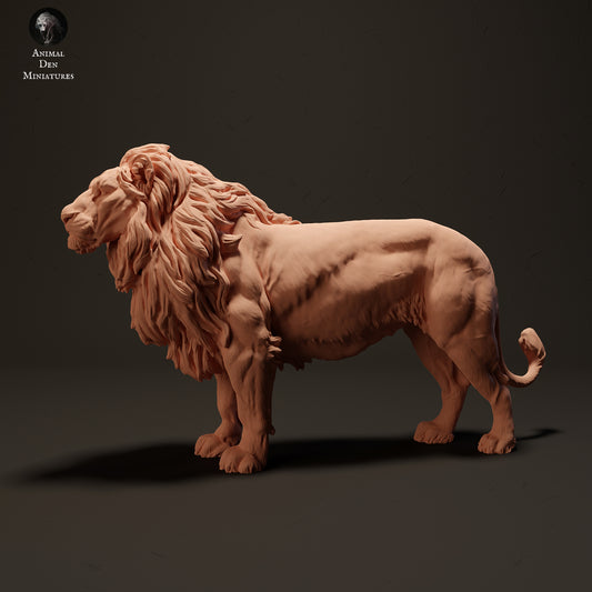 Lion - Animal Den Miniatures