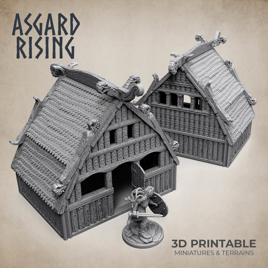 Viking Village  - Asgard Rising