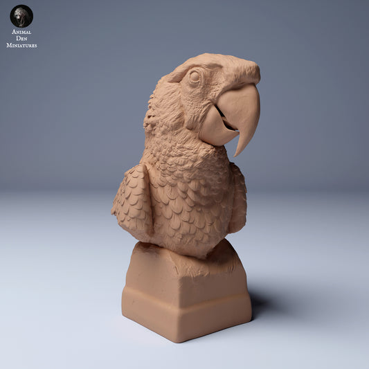 Scarlet Macaw (Ara macao) Bust - Animal Den Miniatures