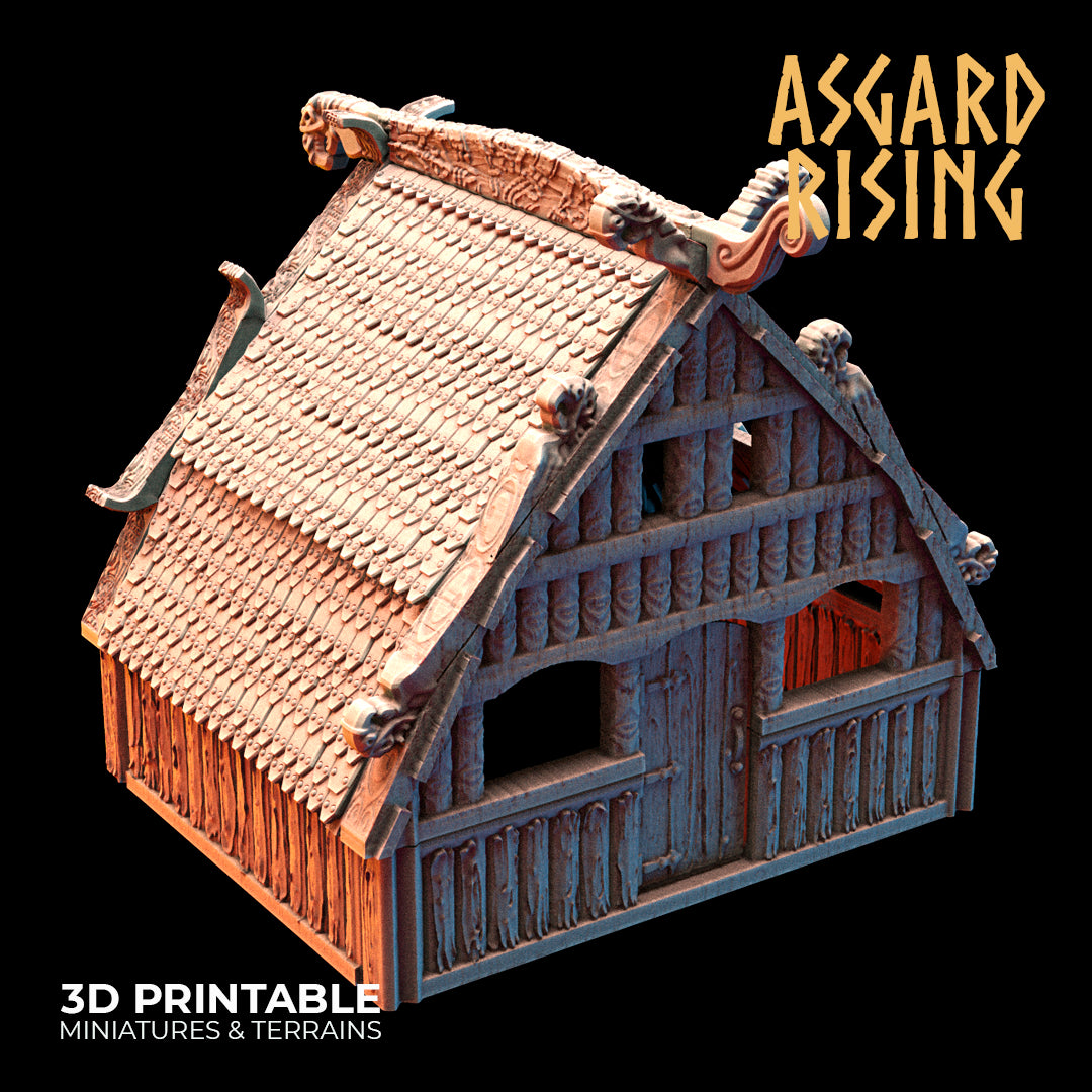 Viking Village  - Asgard Rising