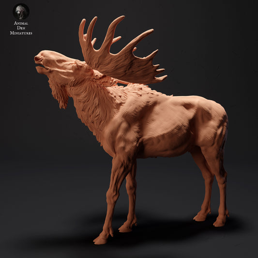 Moose Calling - Animal Den Miniatures