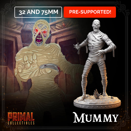 Mummy - MASTERS OF DUNGEONS QUEST - Primal Collectibles