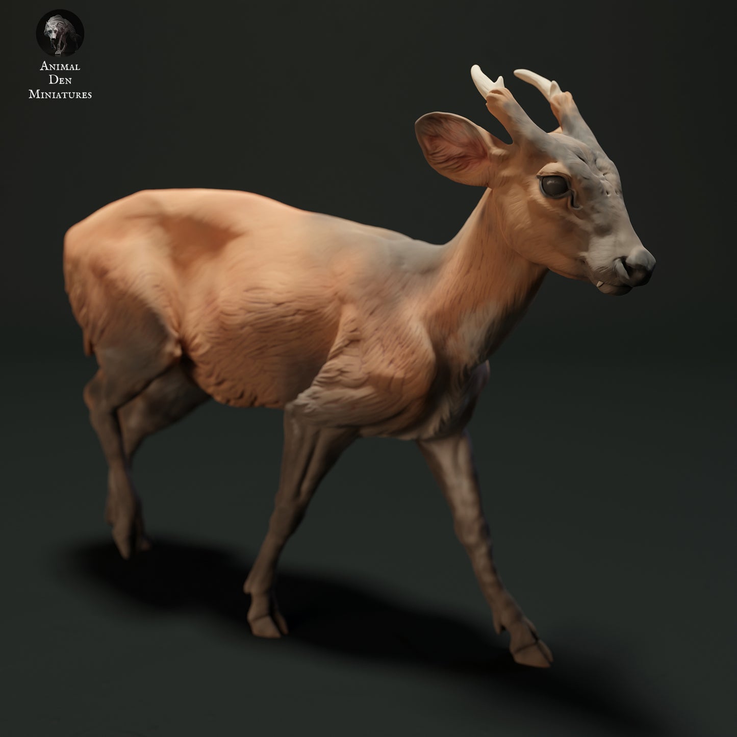 Muntjac Deer - Animal Den Miniatures