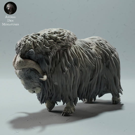 Musk Ox Sheep - Animal Den Miniatures