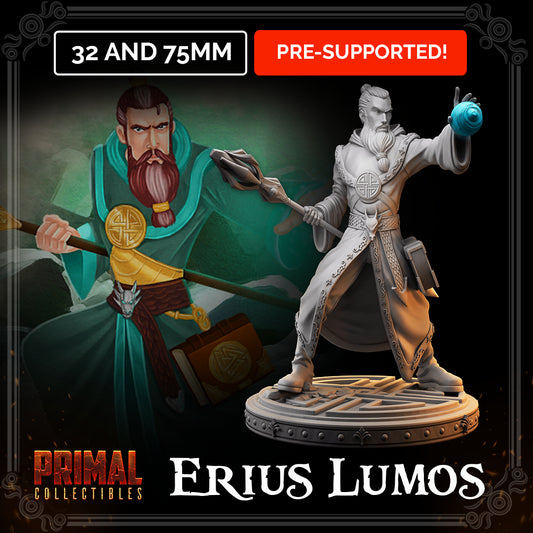 Wizard - Erius Lumos - MASTERS OF DUNGEONS QUEST - Primal Collectibles