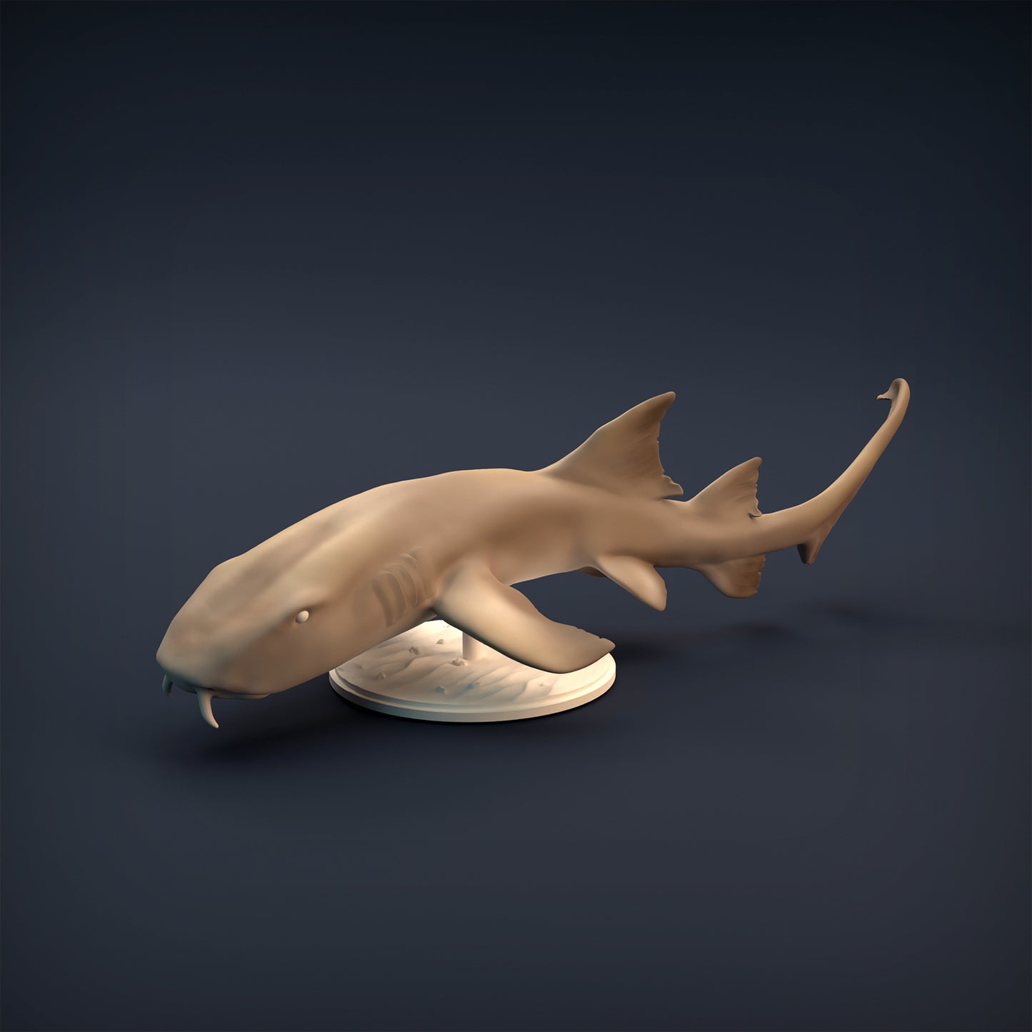 Nurse Shark - Animal Den Miniatures