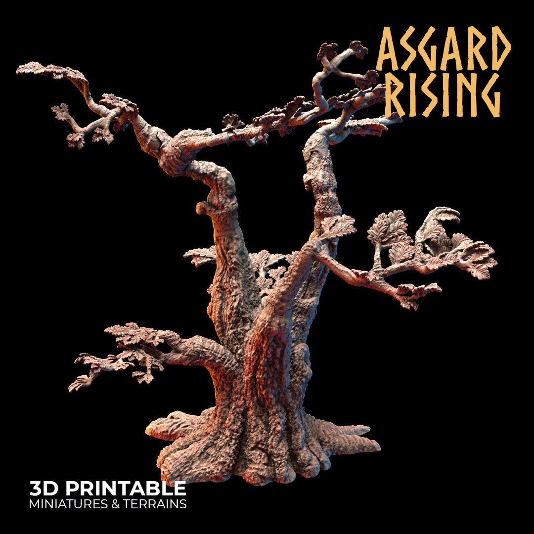 Old Oak Forest - Asgard Rising