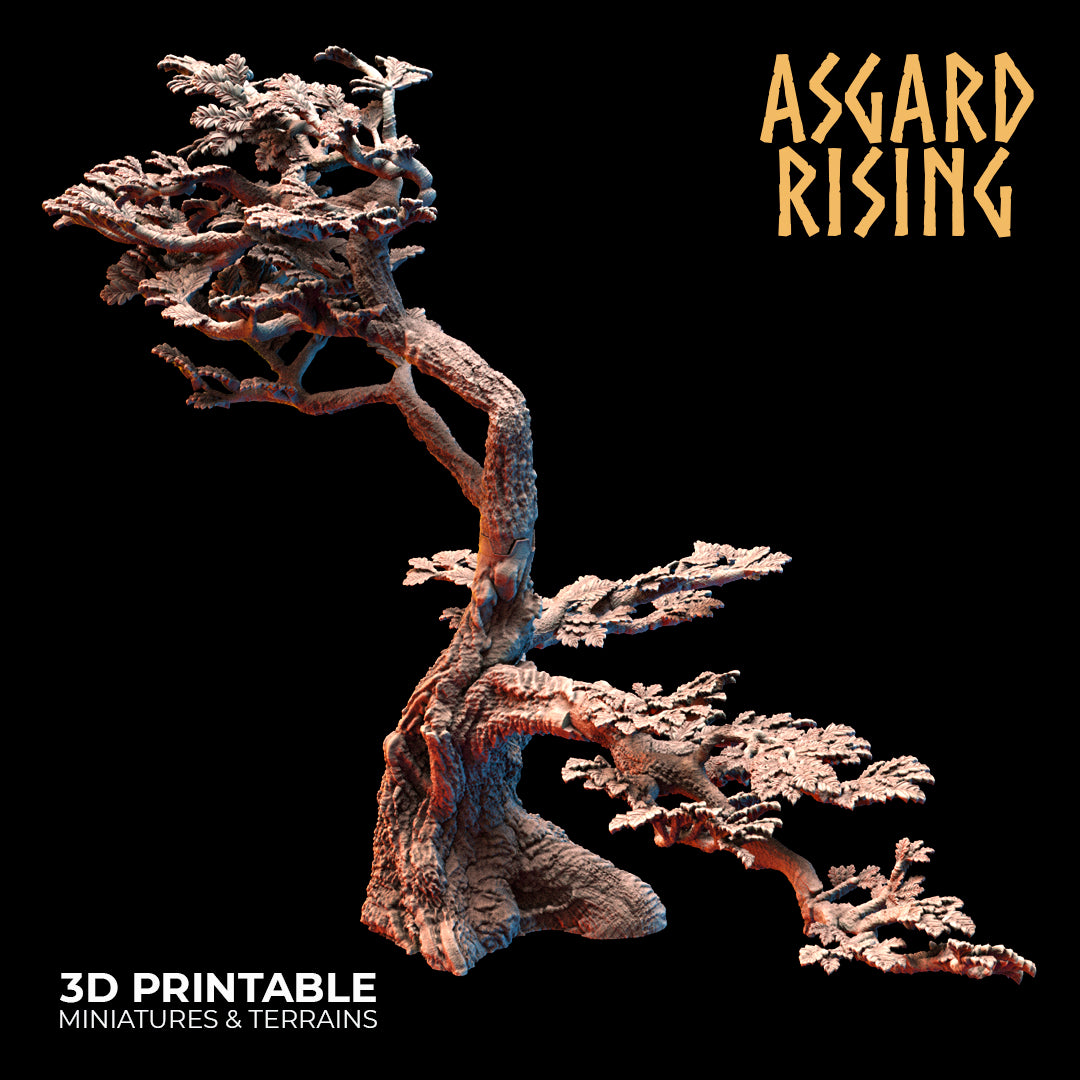 Old Oak Forest - Asgard Rising