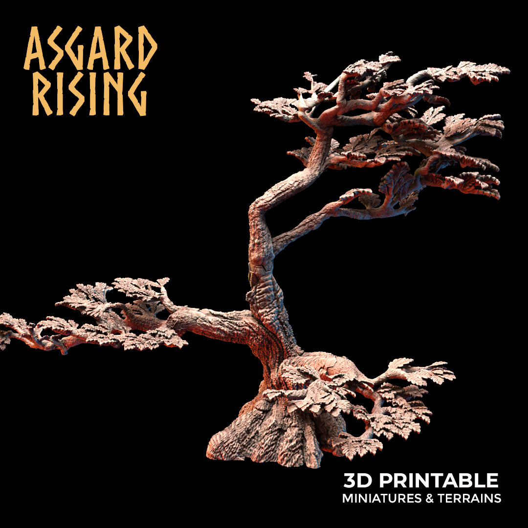 Old Oak Forest - Asgard Rising