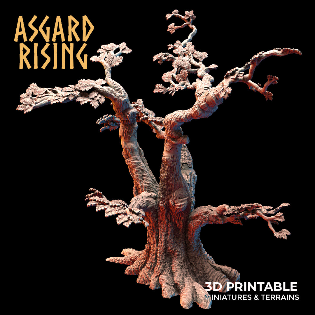 Old Oak Forest - Asgard Rising