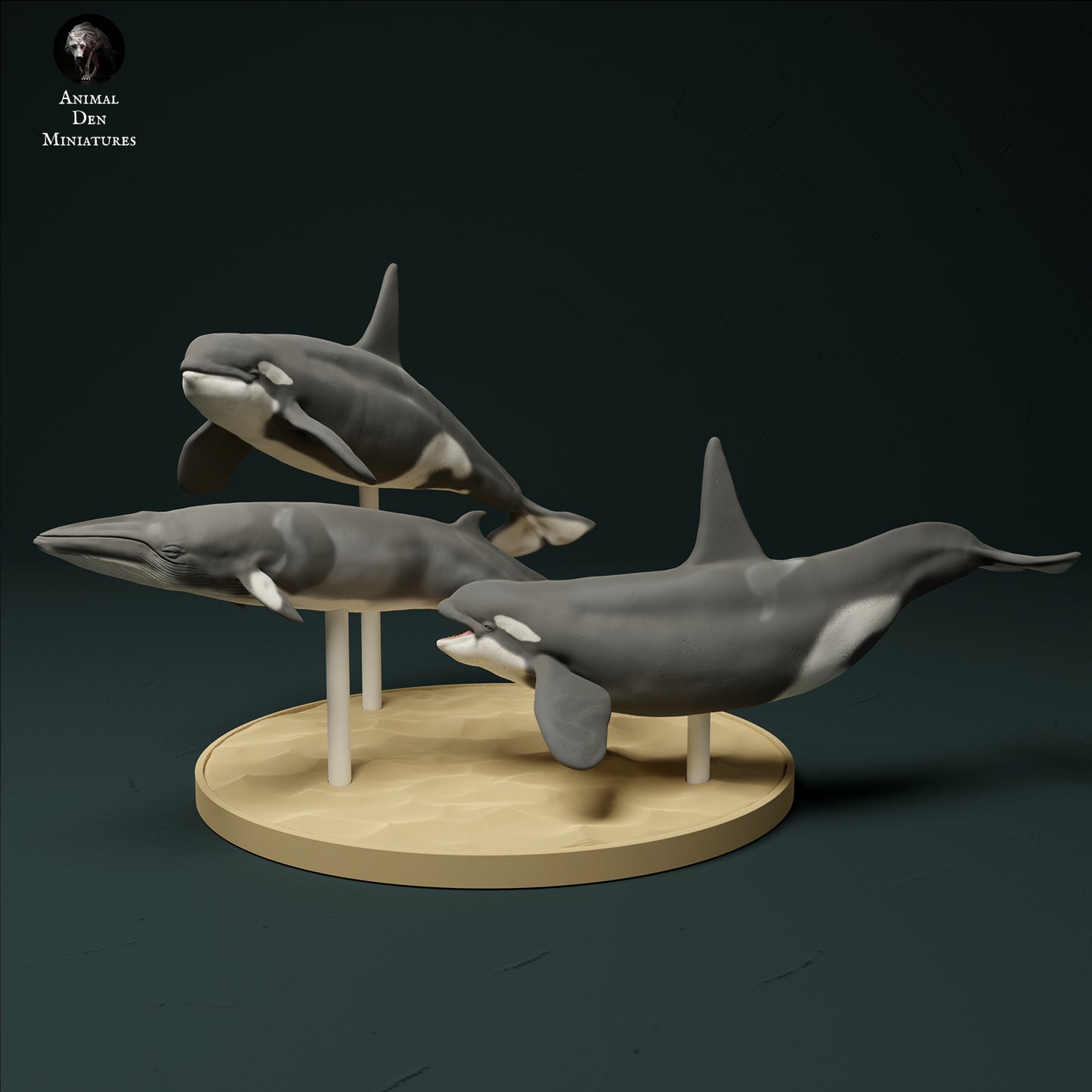 North Atlantic Type 2 Killer Whales Hunting Minke Whale - Animal Den Miniatures