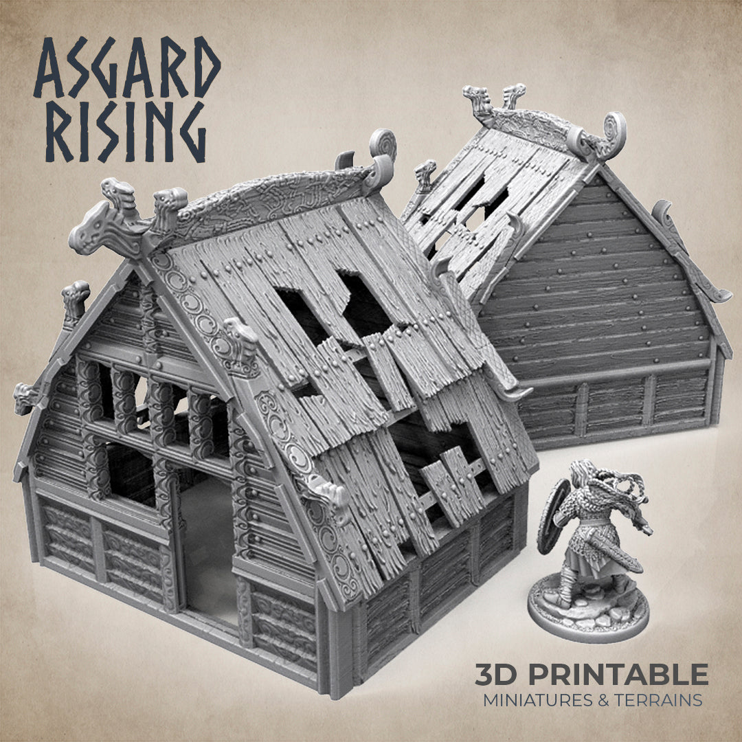 Viking Village  - Asgard Rising