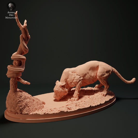 Burmese Python and Bengal Tiger - Animal Den Miniatures