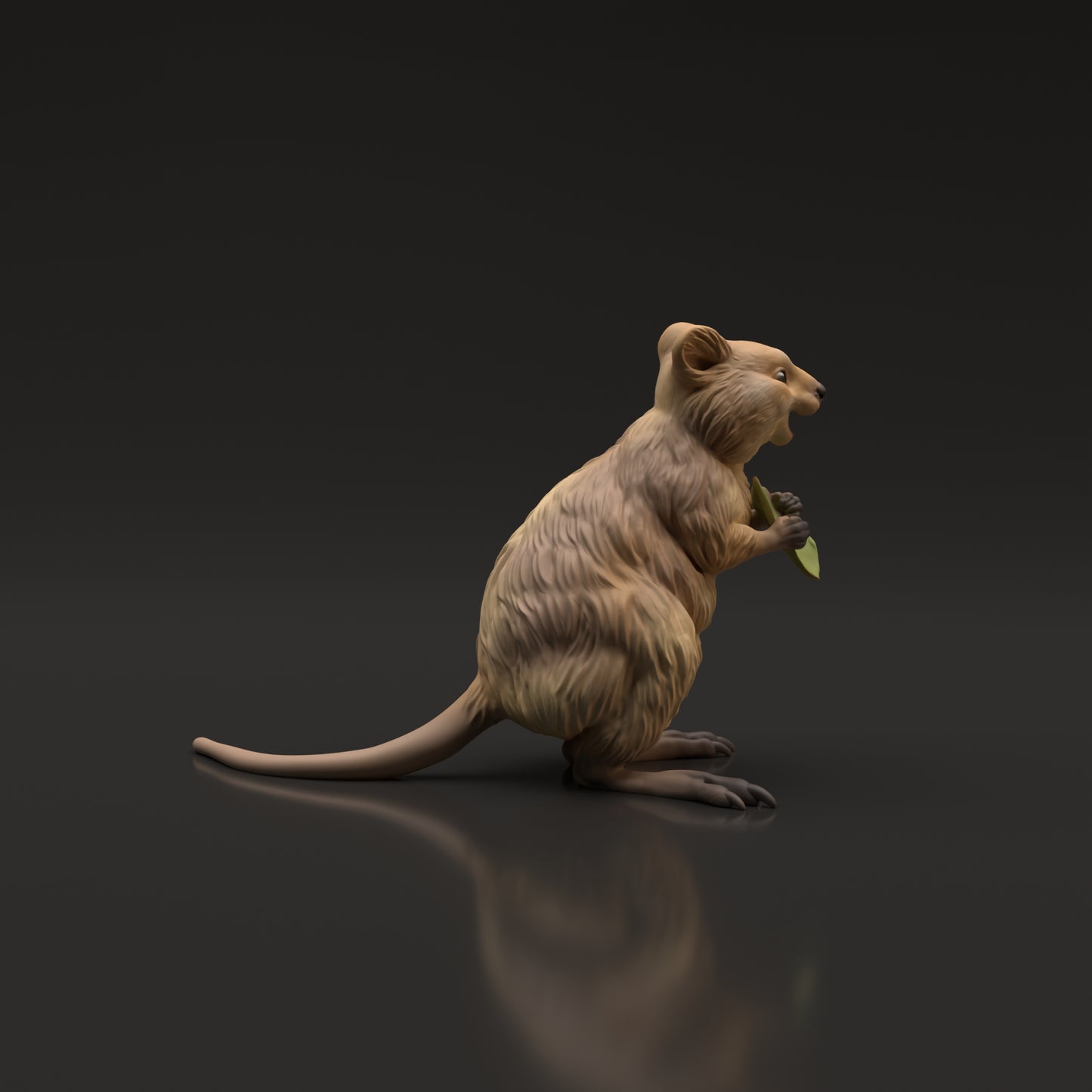 Quokka - Animal Den Miniatures