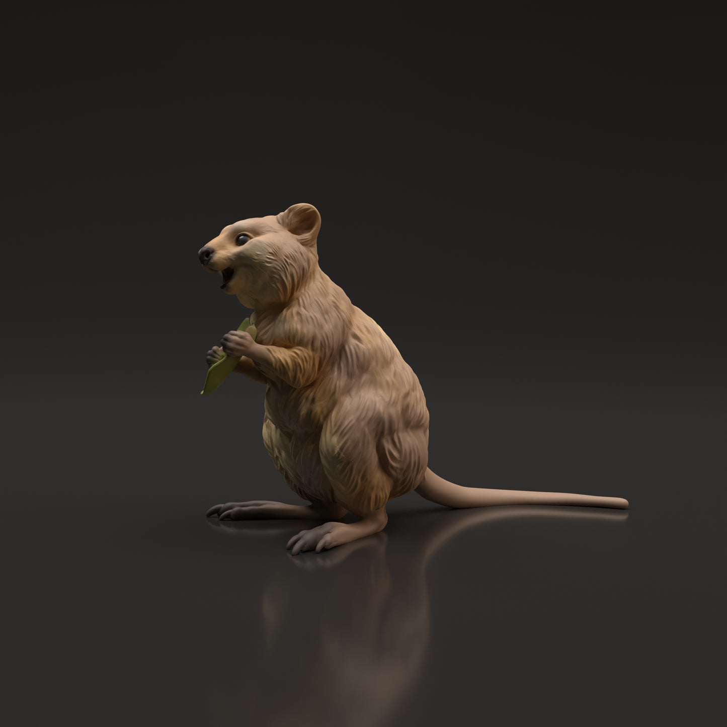 Quokka - Animal Den Miniatures