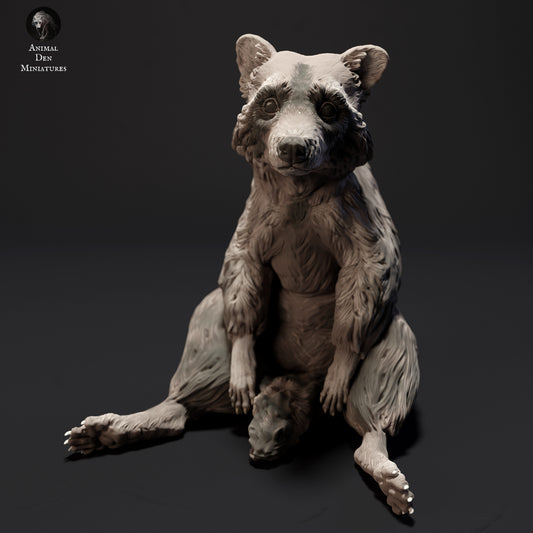 Common Raccoon Sitting - Animal Den Miniatures