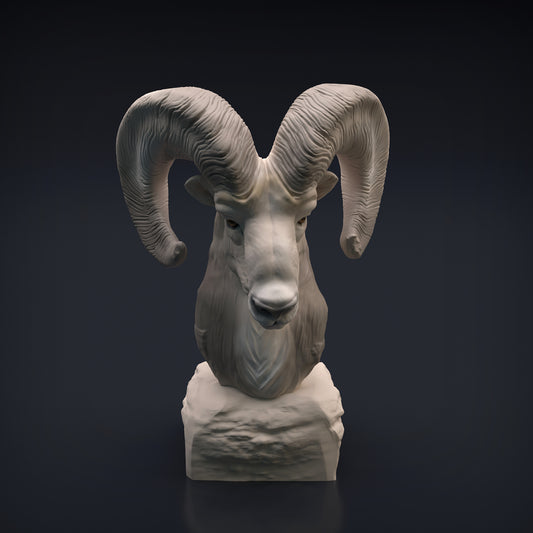 Ram Bust - Animal Den Miniatures