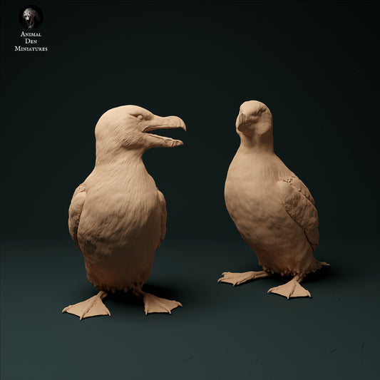 Razorbills - Animal Den Miniatures