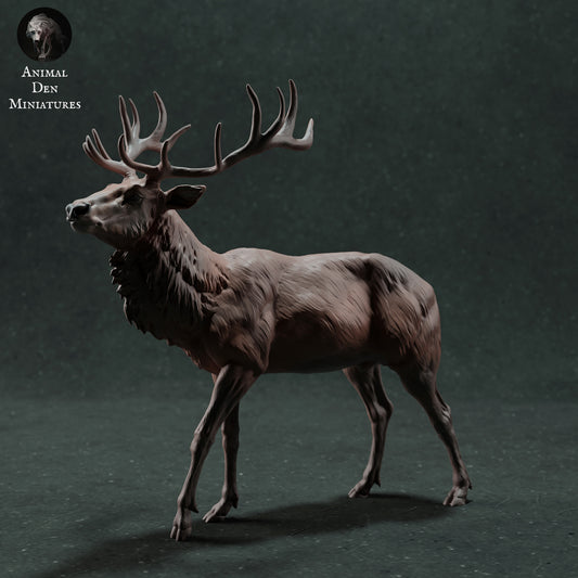 Red Deer Stag - Animal Den Miniatures