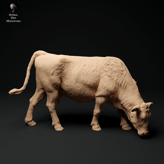 Red Devon Cow Grazing - Animal Den Miniatures