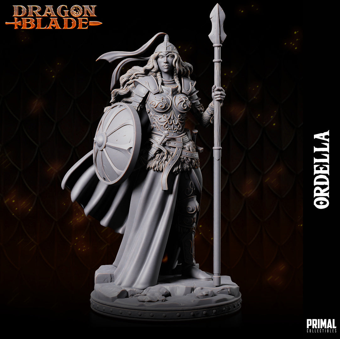 12 miniatures - 32mm - Heroes of the Blade - DRAGONBLADE