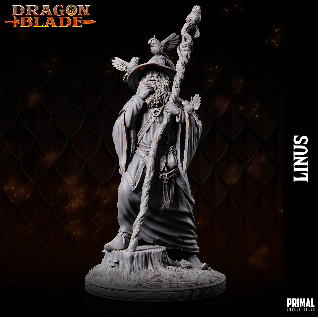 12 miniatures - 32mm - Heroes of the Blade - DRAGONBLADE